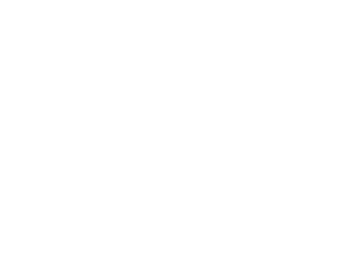 VN logo