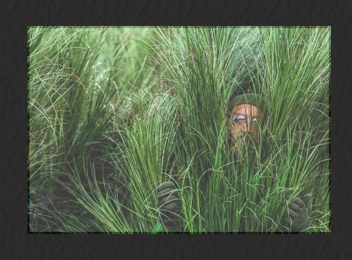 Ten Most Memorable Moments From Bad Bunny’s Super Bowl LX Halftime Show