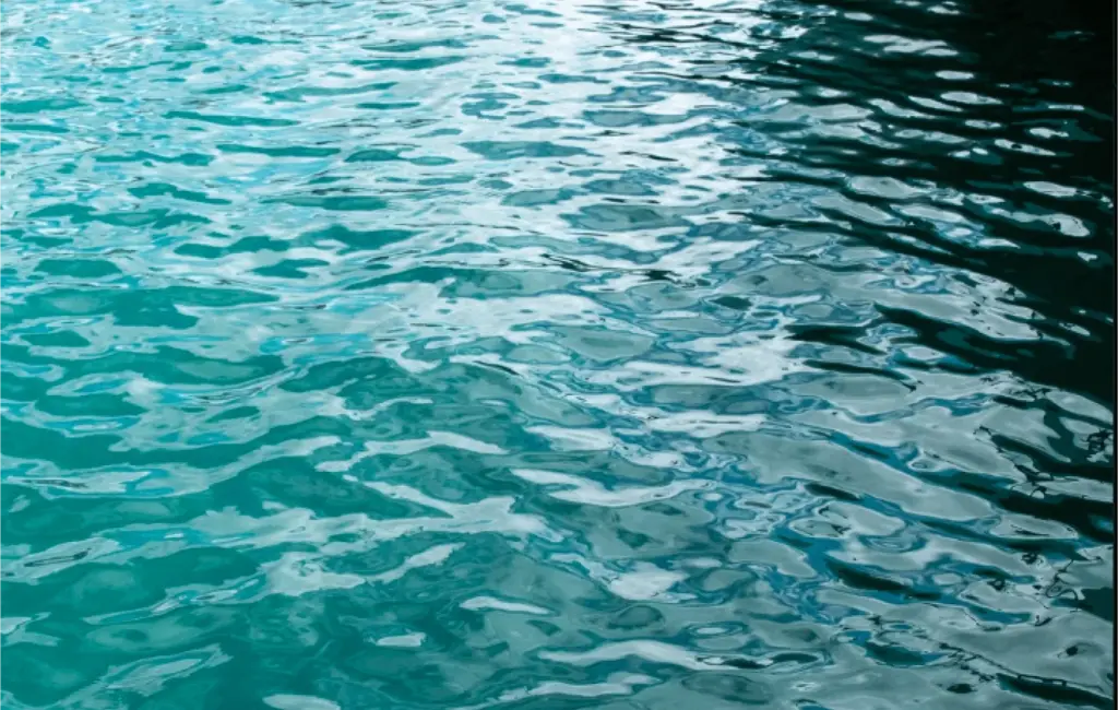 Making waves across social