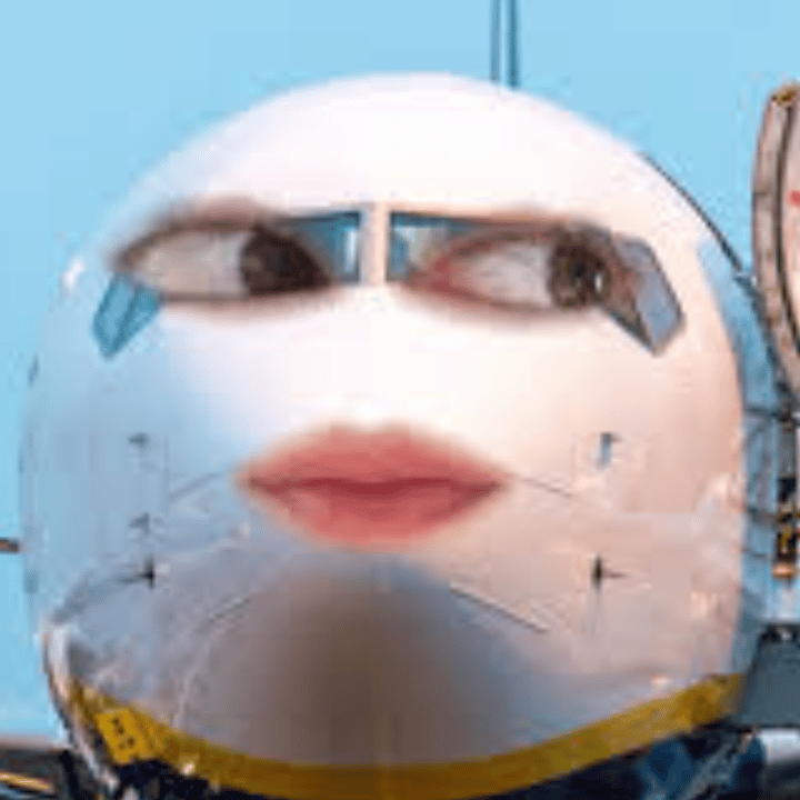 The Globalization of Niche blog image