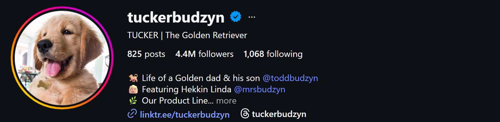 Tucker Budzyn