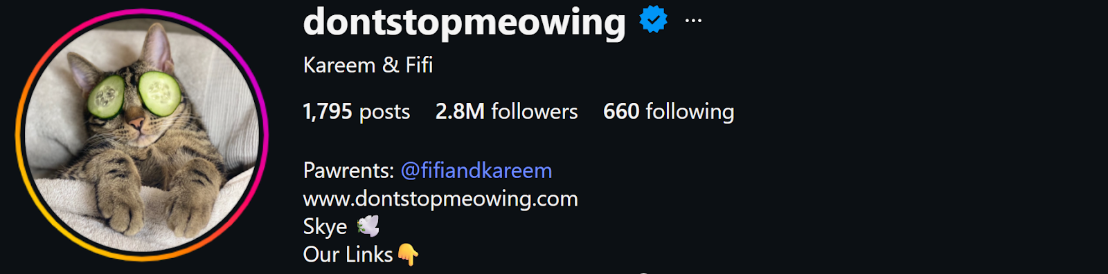 Dont Stop Mewing