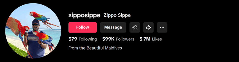Zippo Sippe