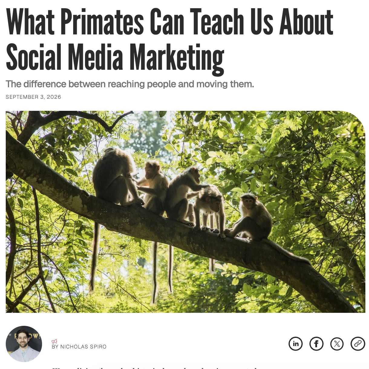 Nick Spiro on Primates and Social Media Marketing
